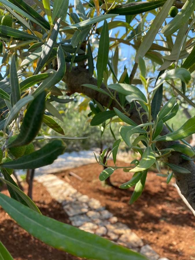 L'orizzonte Di Calabianca Holiday home *