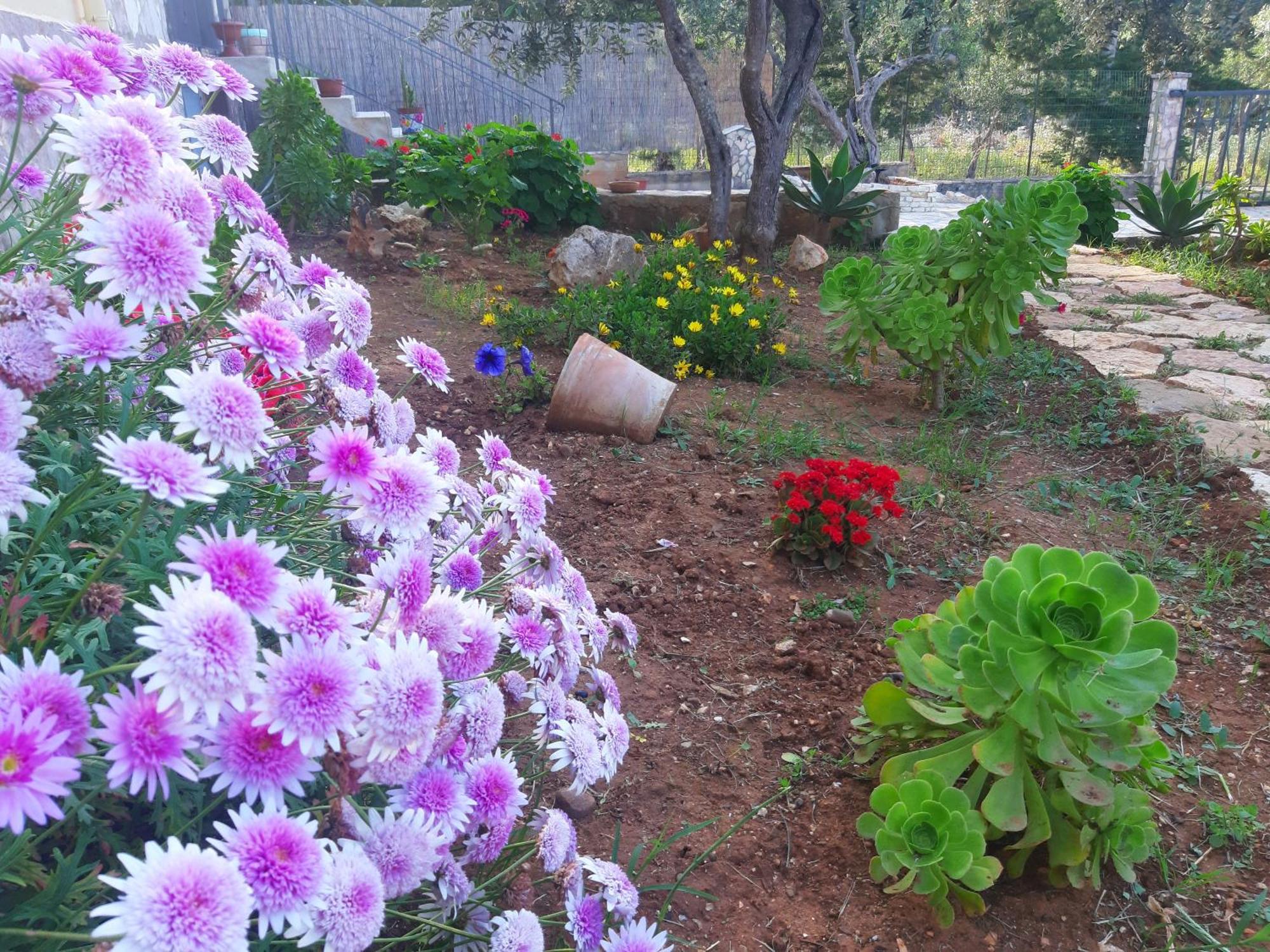 L'orizzonte Di Calabianca Holiday home