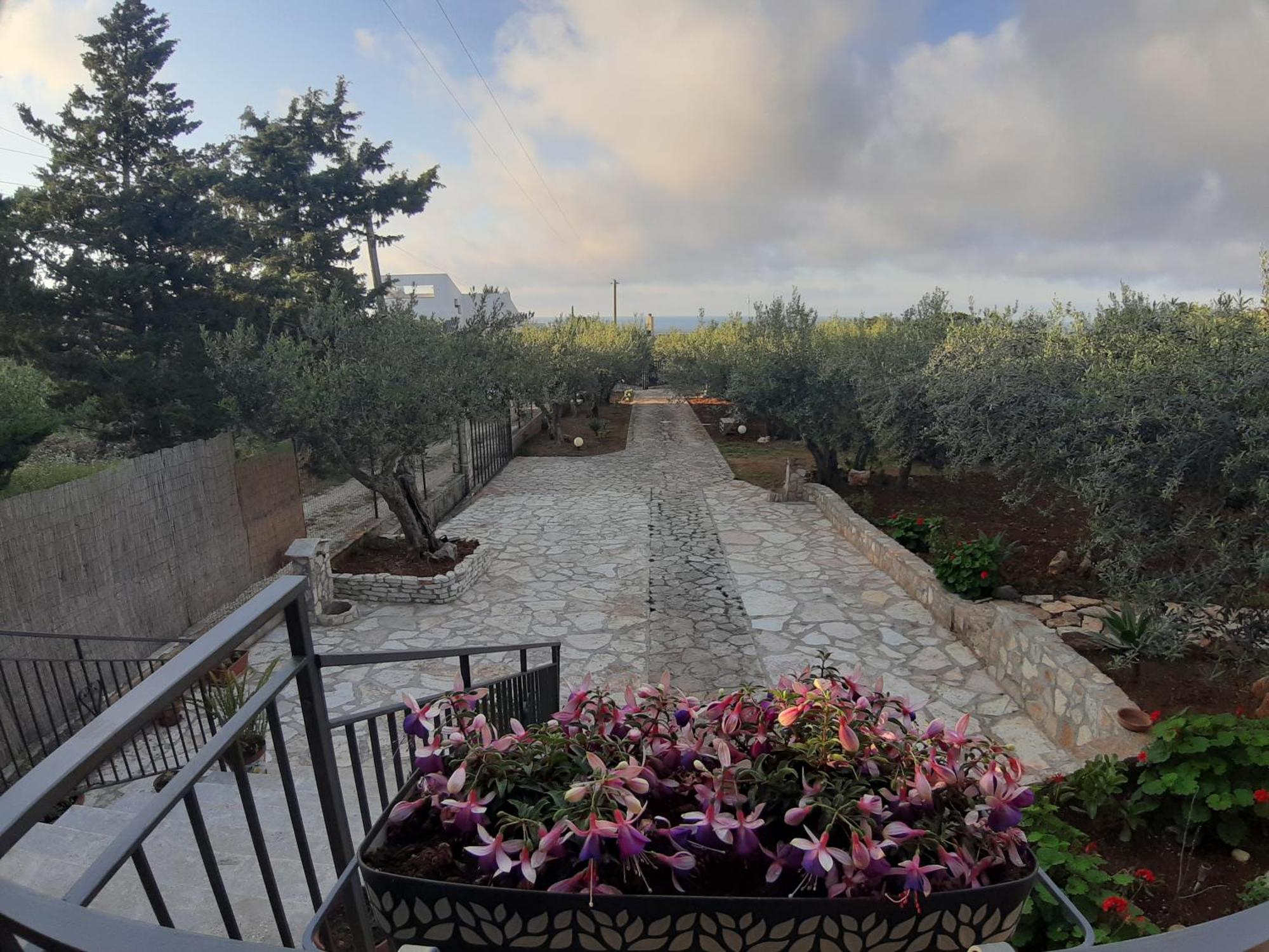 L'orizzonte Di Calabianca Holiday home Castellammare del Golfo