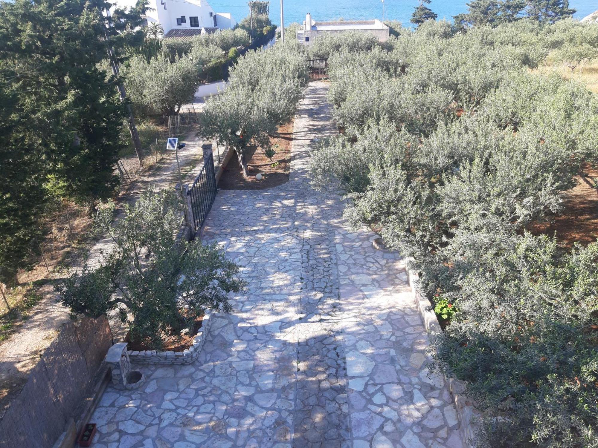 L'orizzonte Di Calabianca *